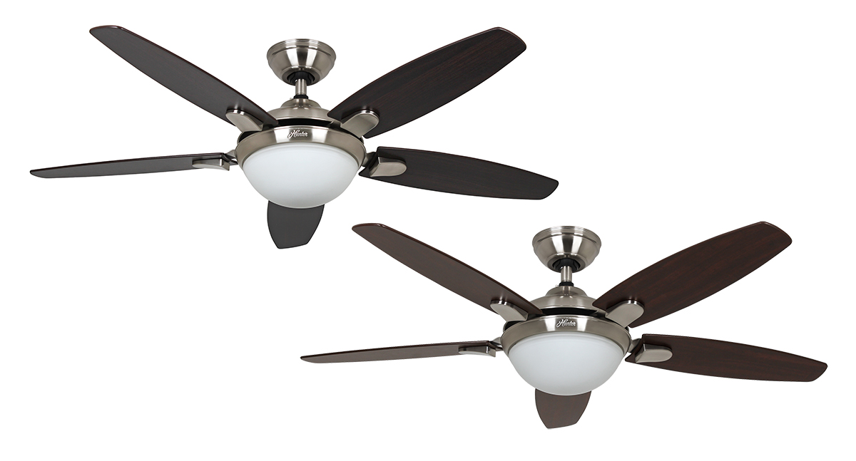Hunter Deckenventilator Contempo BN Produktbild Ean:0049694506122 SKU:50612 Deckenventilator von www.Deckenventilator-Experte.de Bild 1