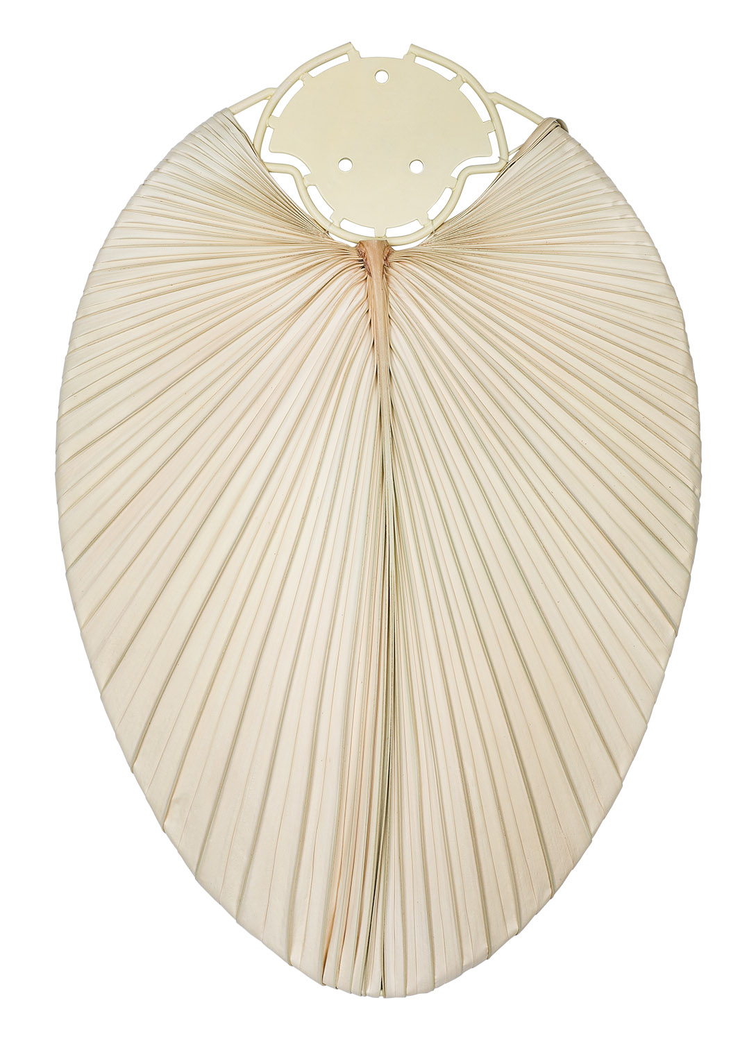 CasaFan Deckenventilator Caribbean Dream Eco II BA-PLM Produktbild Ean:4024397380848 SKU:513724 Deckenventilator von www.Deckenventilator-Experte.de Bild 5