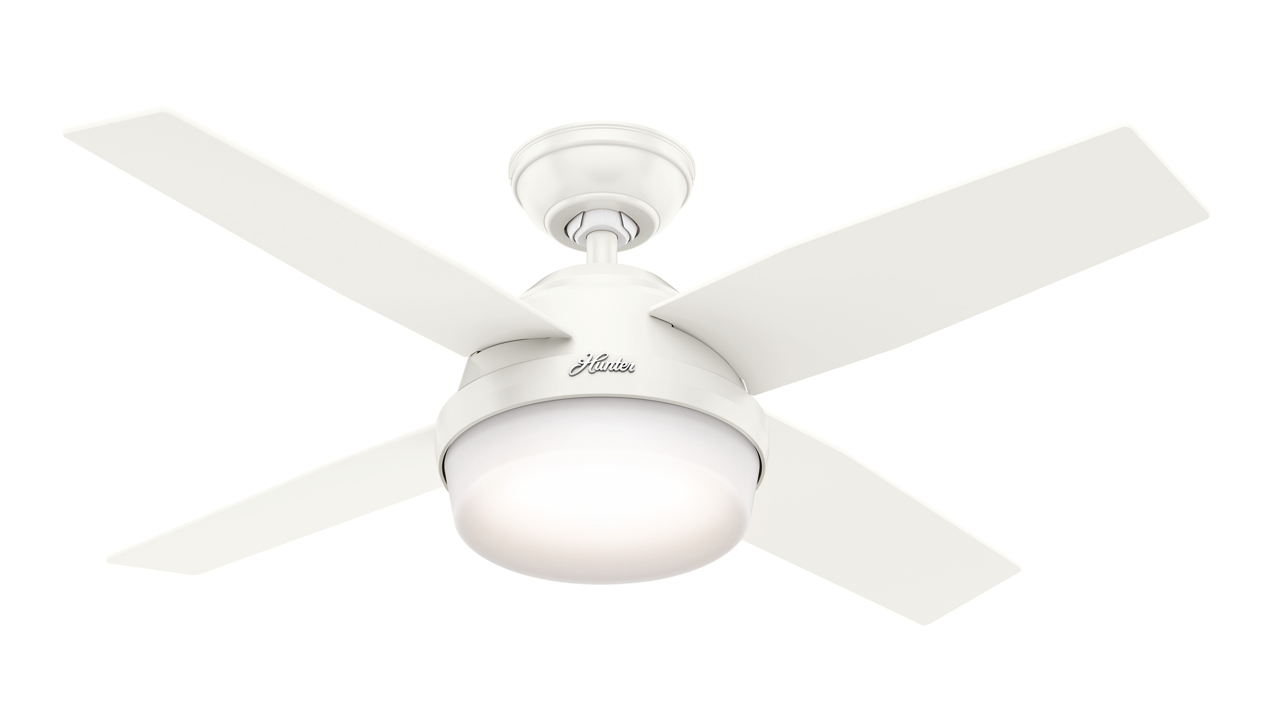 Hunter Deckenventilator Dante WE Produktbild Ean:0049694506290 SKU:50629 Deckenventilator von www.Deckenventilator-Experte.de Bild 1