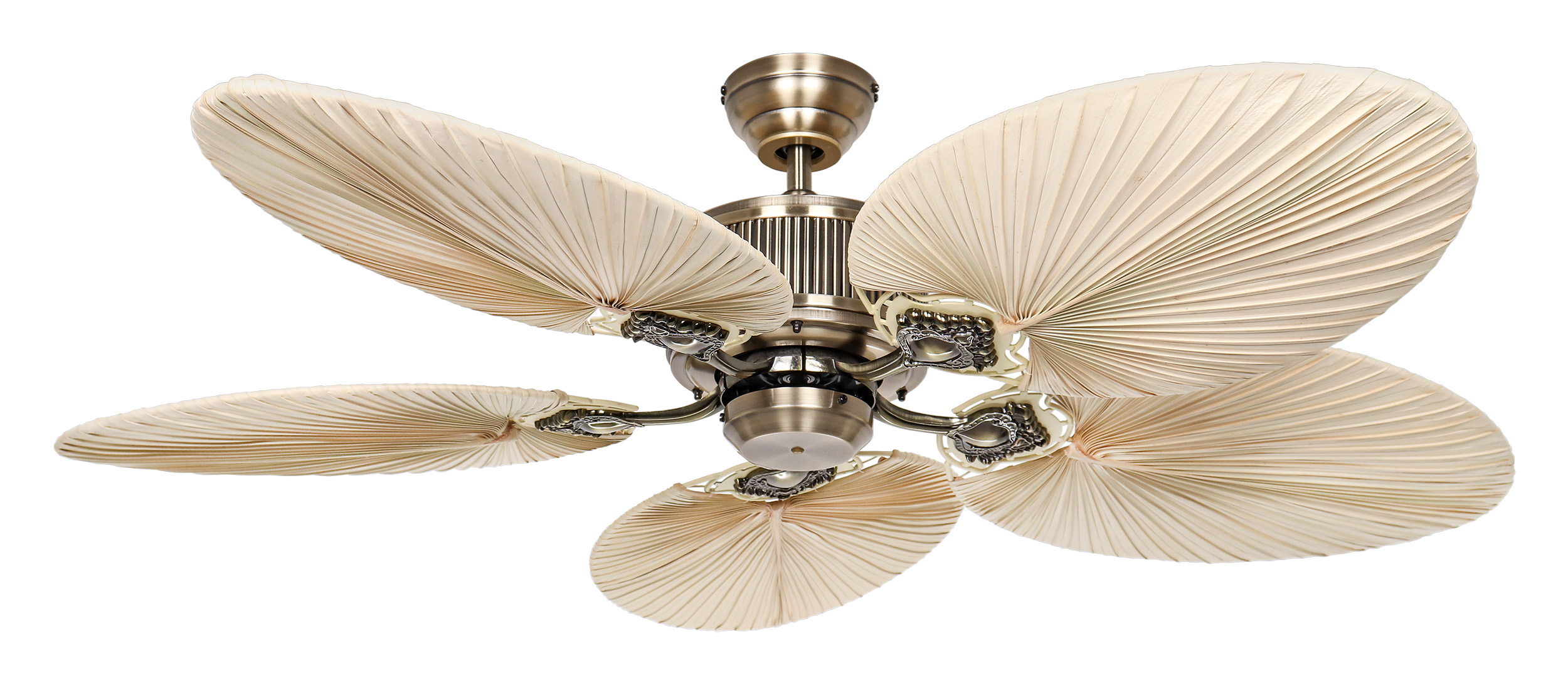 CasaFan Deckenventilator Caribbean Dream Eco II MA-PLM Produktbild Ean:4024397380862 SKU:513720 Deckenventilator von www.Deckenventilator-Experte.de Bild 3
