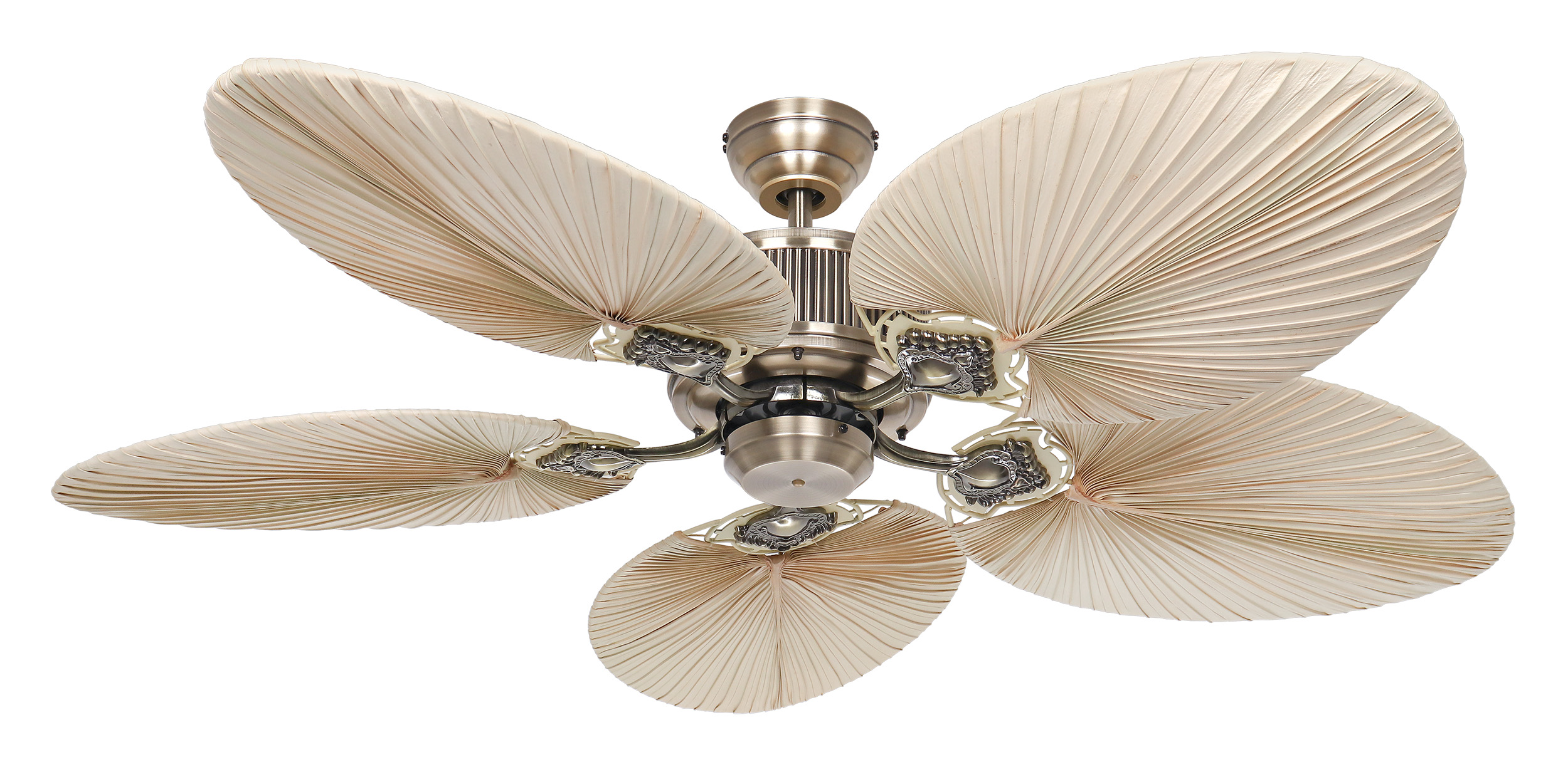 CasaFan Deckenventilator Caribbean Dream Eco II MA-PLM Produktbild Ean:4024397380862 SKU:513720 Deckenventilator von www.Deckenventilator-Experte.de Bild 2