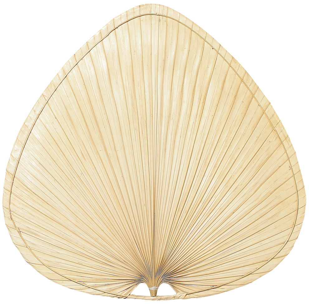 Fanimation Flügel Palme natur Produktbild Ean:4024397343355 SKU:PUP1 Deckenventilator von www.Deckenventilator-Experte.de Bild 1