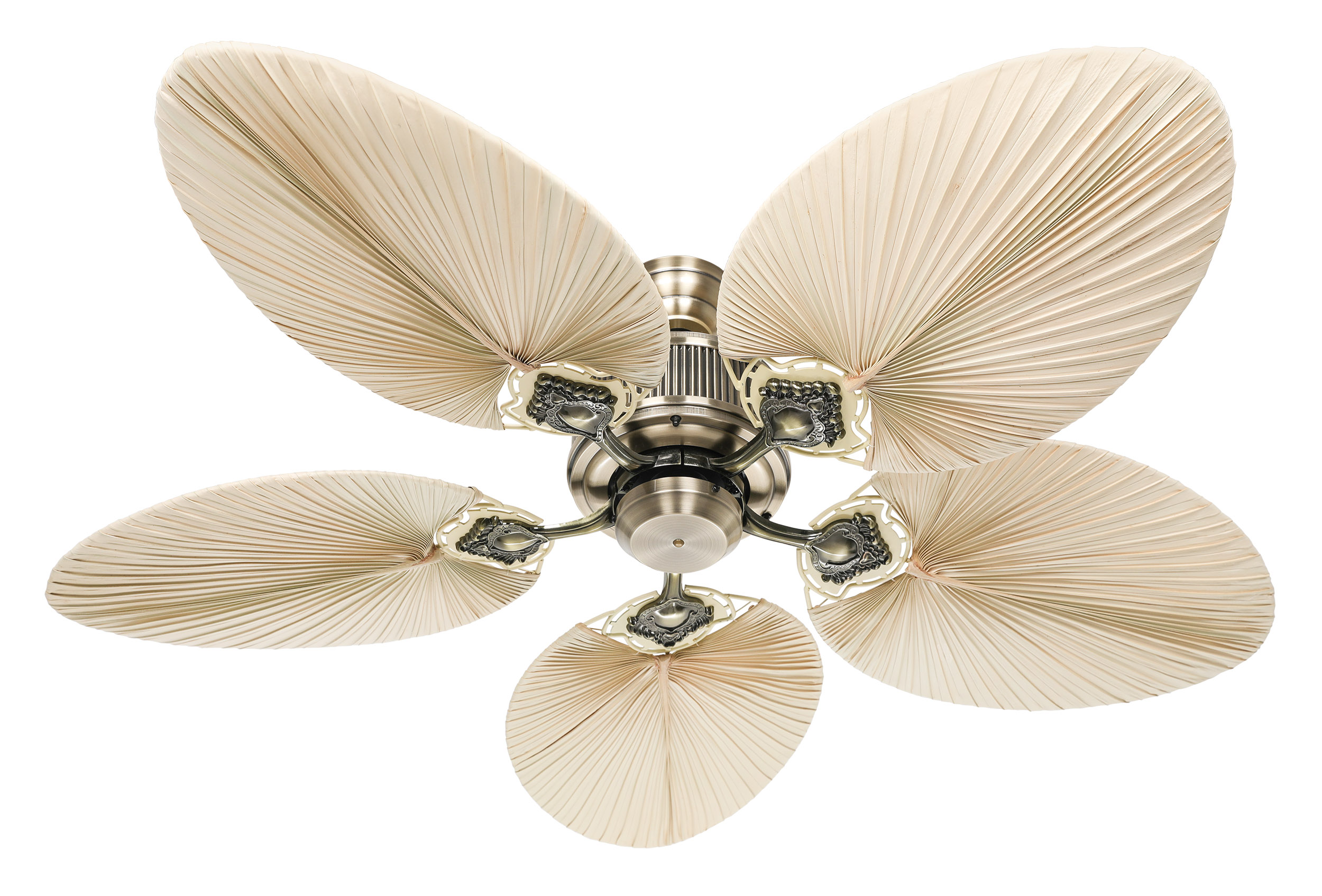 CasaFan Deckenventilator Caribbean Dream Eco II MA-PLM Produktbild Ean:4024397380862 SKU:513720 Deckenventilator von www.Deckenventilator-Experte.de Bild 1